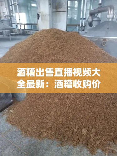 贵人多忘事 第2页
