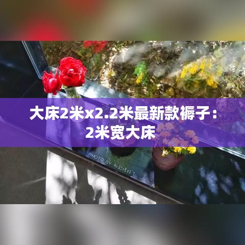 网站案例 第165页