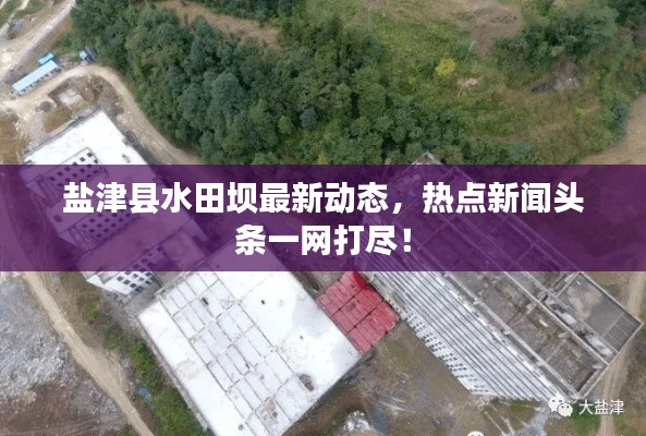 莺声燕语 第2页