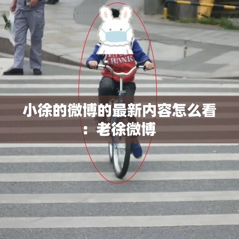 建站服务 第153页