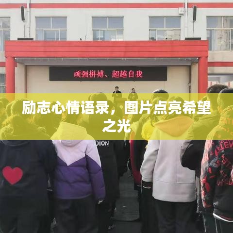 凤凰于飞 第2页