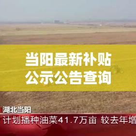 帮助中心 第138页