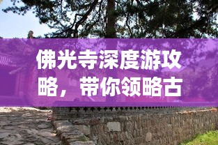 佛光寺深度游攻略，带你领略古刹之美！