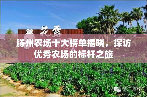 月里嫦娥 第2页