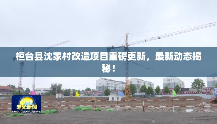 桓台县沈家村改造项目重磅更新，最新动态揭秘！