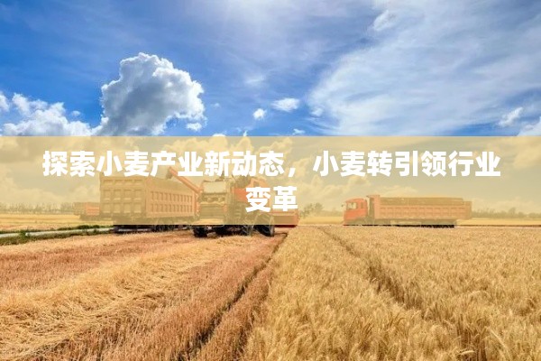 回眸最初 第2页