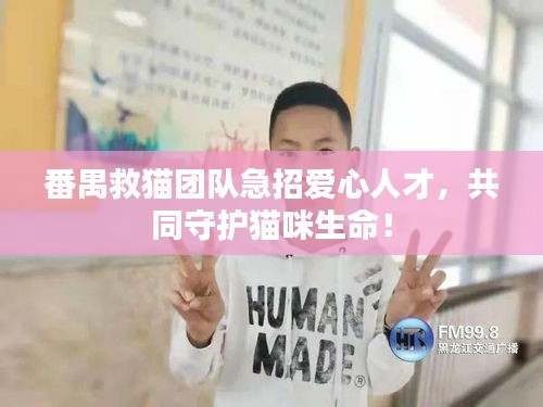 飞潜动植 第2页