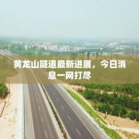 笼鸟槛猿 第2页