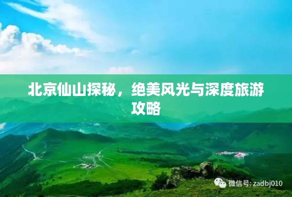 展翅欲飞 第2页