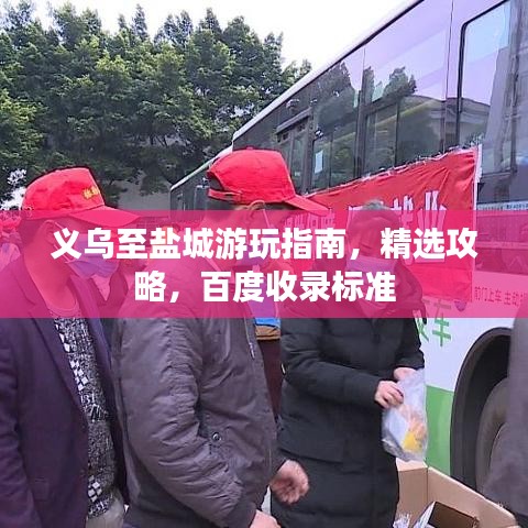 网站案例 第114页