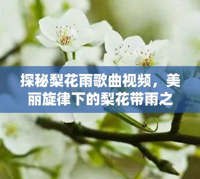 百鸟归巢 第2页