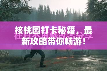 核桃园打卡秘籍，最新攻略带你畅游！