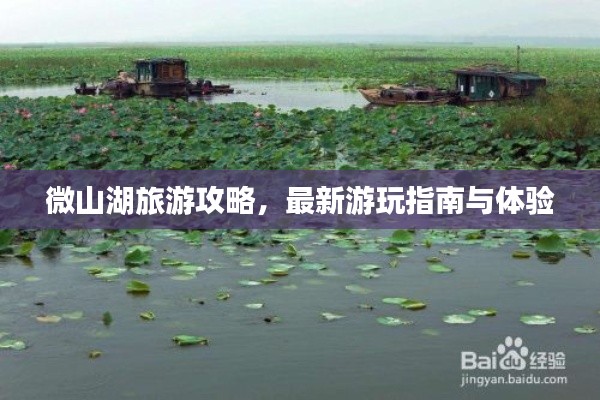 梨花带雨 第2页