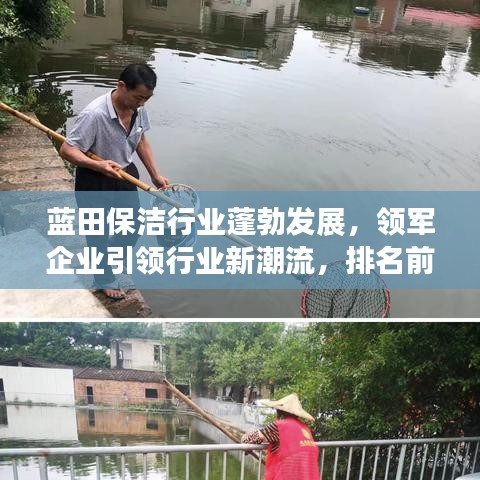 蓝田保洁行业蓬勃发展，领军企业引领行业新潮流，排名前十企业大揭秘