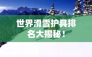 第526页
