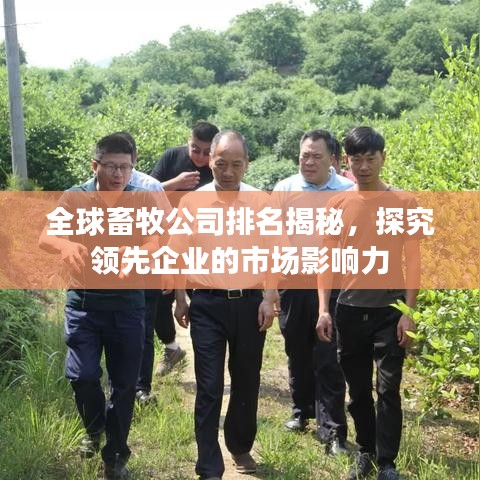 飞流直下 第2页