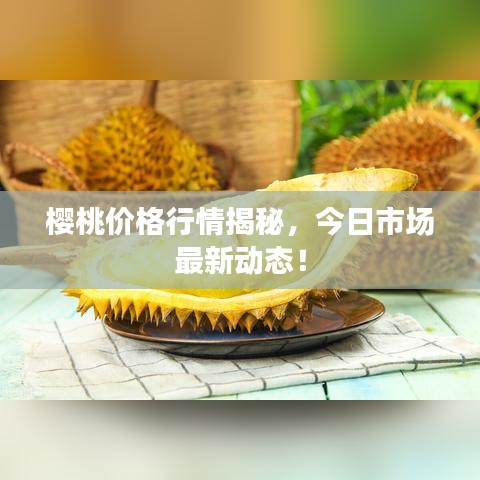 鸟啼花落 第2页