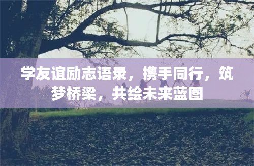 第501页