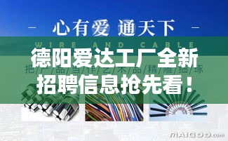 第494页
