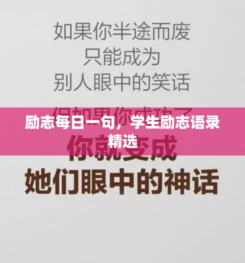 第452页