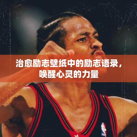 心得分享 第51页