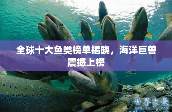 矫揉造作 第2页