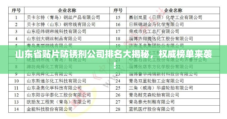 山东省贴片防锈剂公司排名大揭秘，权威榜单来袭！
