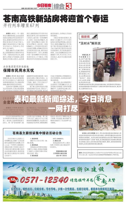 泰和最新新闻综述，今日消息一网打尽