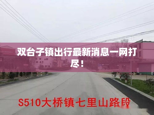 双台子镇出行最新消息一网打尽！
