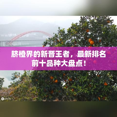 象耕鸟耘