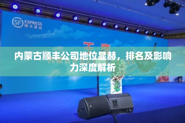 内蒙古顺丰公司地位显赫，排名及影响力深度解析