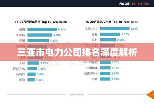 三亚市电力公司排名深度解析