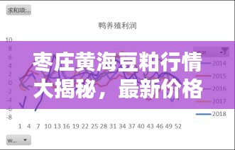 枣庄黄海豆粕行情大揭秘，最新价格走势深度解析