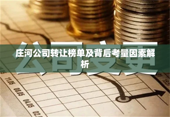庄河公司转让榜单及背后考量因素解析