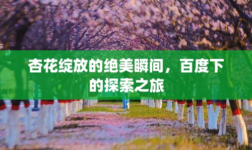 杏花绽放的绝美瞬间，百度下的探索之旅