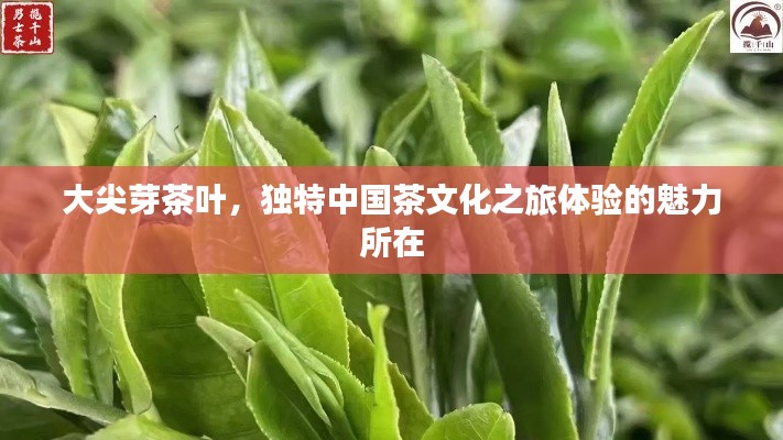 心旷神怡