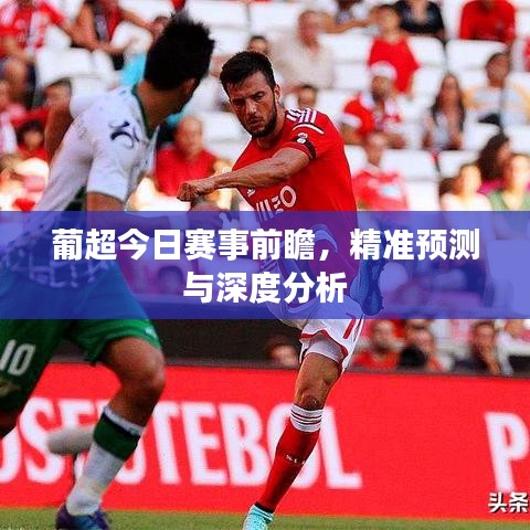 葡超今日赛事前瞻，精准预测与深度分析