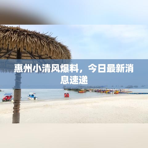 惠州小清风爆料，今日最新消息速递