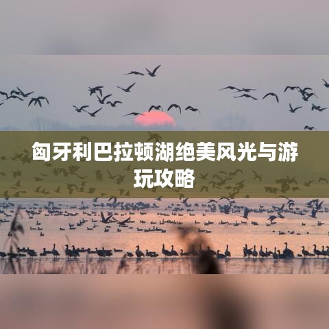 鸟吏鳖官