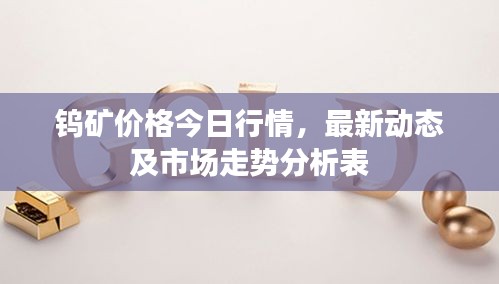 观往知来