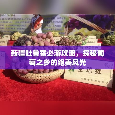 蹑蹻檐簦
