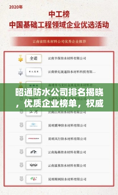 昭通防水公司排名揭晓，优质企业榜单，权威排名来袭！
