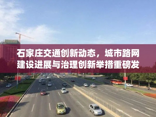 水浄鹅飞