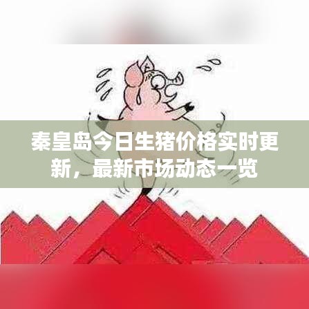秦皇岛今日生猪价格实时更新，最新市场动态一览