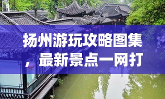 文质彬彬