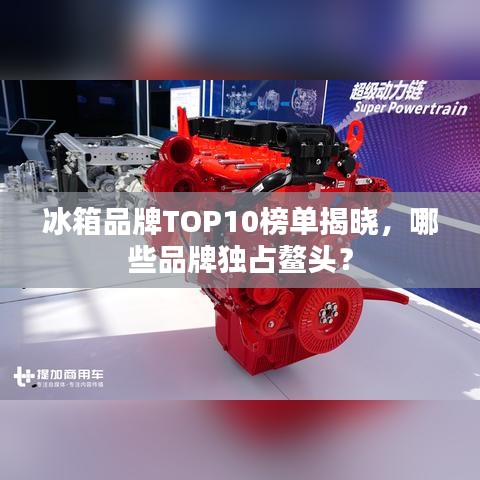 物稀为贵