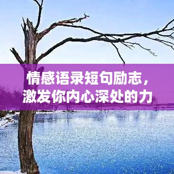 建站服务 第21页