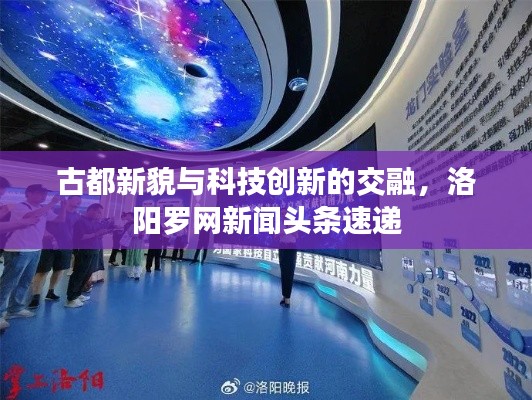 逆风飞扬