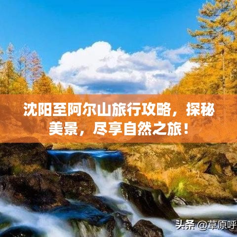 花开无言