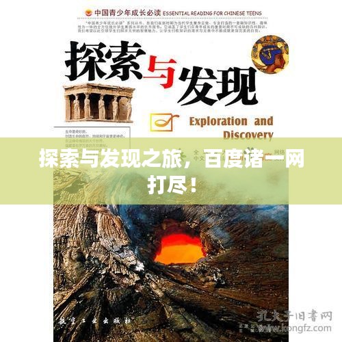 敷衍了事